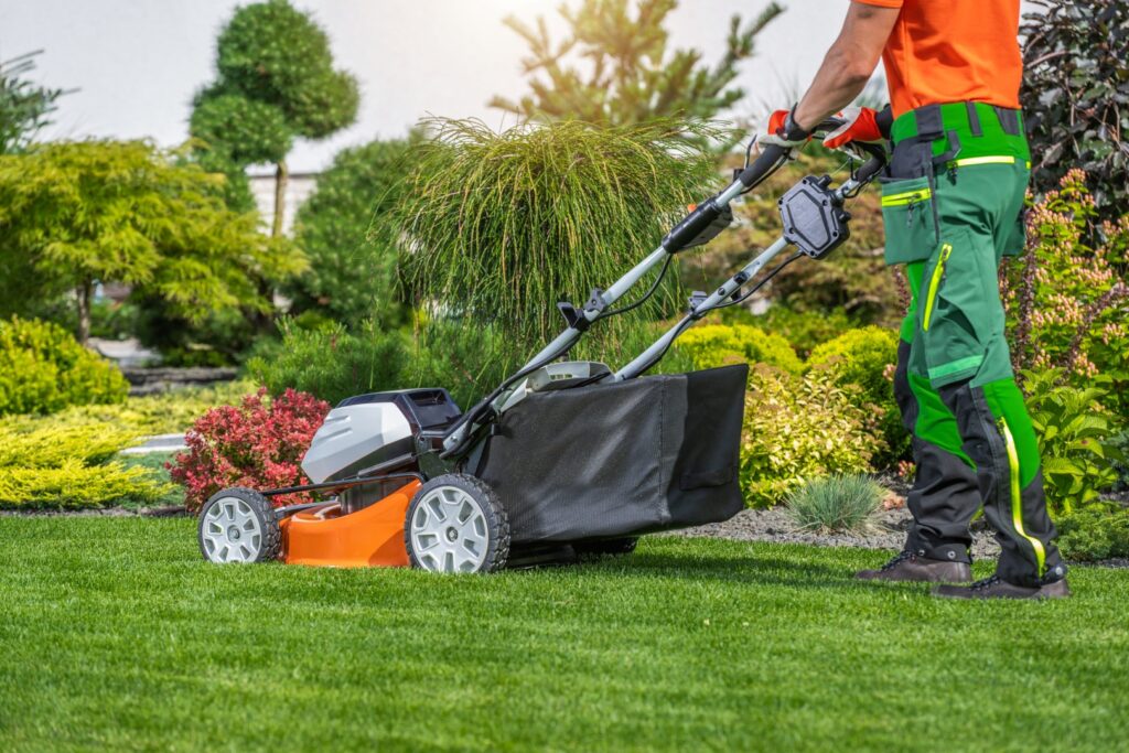 Lawn Care Tips for a Healthy Green Yard in Englewood NJ