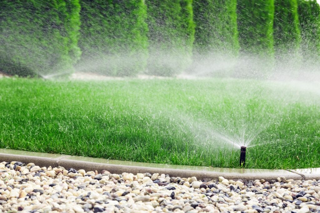 Close-up of green grass with a sprinkler system watering a residential lawn